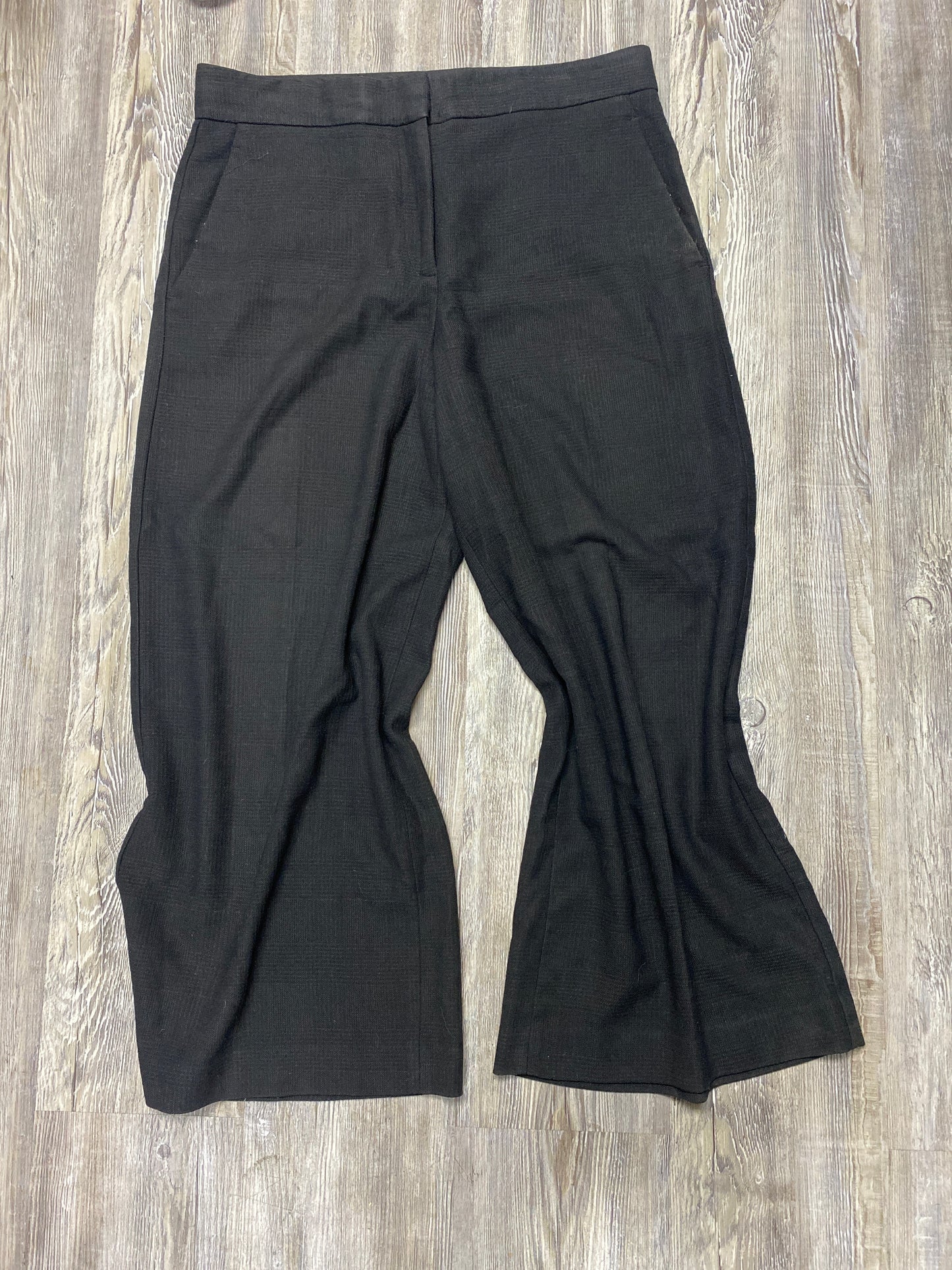Ann Taylor Wide Leg Size 10 tag #10