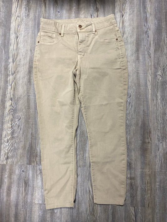 Maurice’s High Rise Size M Short tag #81