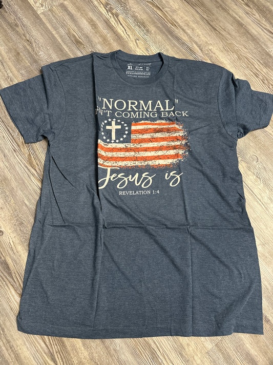 NEW! Love in Faith “Normal isn’t coming back…” tee size xl $8